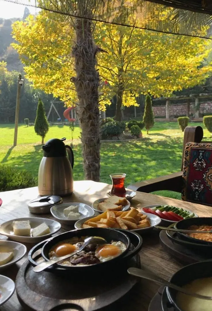 Apartmán Naturel Home Antalya